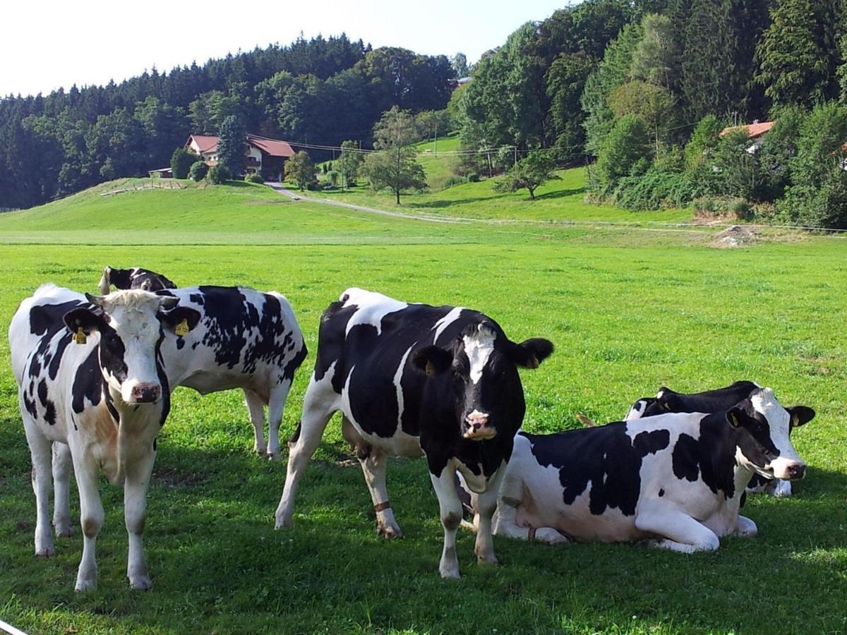 Zwischen Chiemsee Und Bergen Ug แบร์เนา อัม คีมเซ ภายนอก รูปภาพ